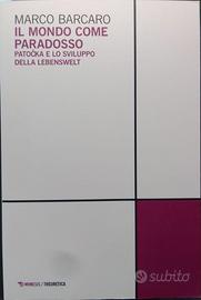 Il mondo come paradosso