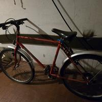 Bici Mtb
