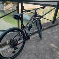 mtb 29 sunn