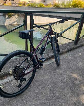 mtb 29 sunn