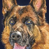 Creazioni  Fatte a Mano con Passione ( LEGGI INFO)