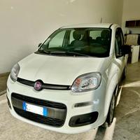 Fiat panda 1.0 70 cv km 29600 - 2021