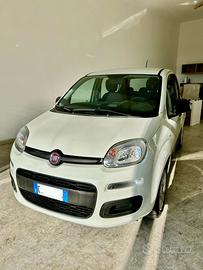 Fiat panda 1.0 70 cv km 29600 - 2021