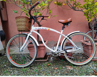 Bicicletta dell'unieuro