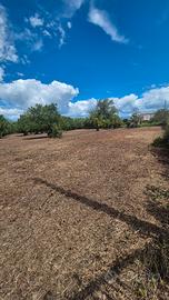 Terreno agricolo 2.462 mq con deposito di 14mq