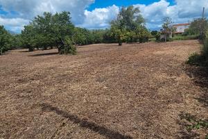 Terreno agricolo 2.462 mq con deposito di 14mq