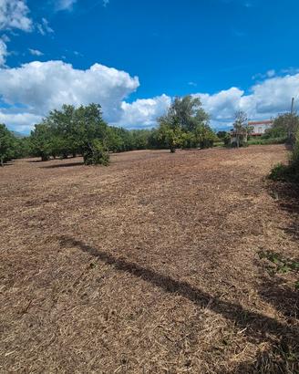 Terreno agricolo 2.462 mq con deposito di 14mq