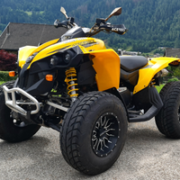 Quad Can Am Renegade 800