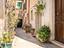 Immagine 11