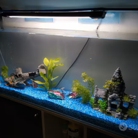 Acquario 150L in Cristallo, filtro est. + Mobile