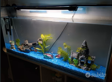 Acquario 150L in Cristallo, filtro est. + Mobile