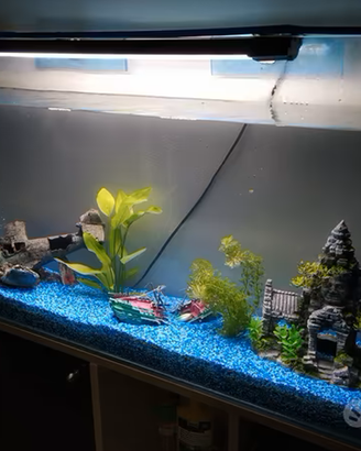 Acquario 150L in Cristallo, filtro est. + Mobile