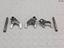 Immagine 7