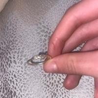 Anello Pandora