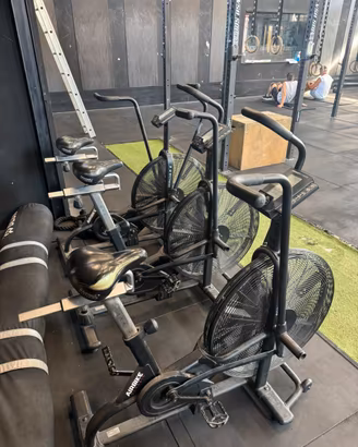 ASSAULT AIR BIKE