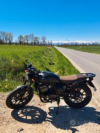 Archive Café Racer 250 CC