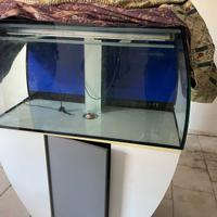 Acquario 300 litri