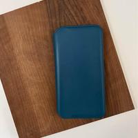 Cover Apple folio pelle petrolio Iphone 11 Pro Max