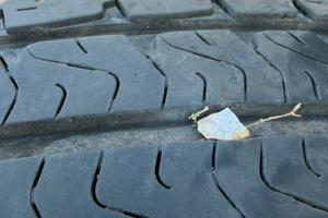 Gomme camper agilis
