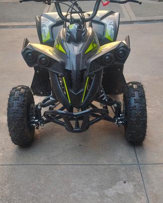 Mini Quad Renegade benzina 50cc