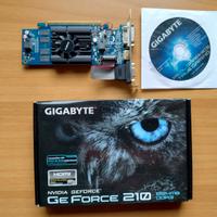 SCHEDAGRAFICA GIGABYTE NVIDIA GeForce 210 1GB DDR3