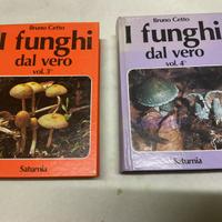 Libri per cercatori di funghi.