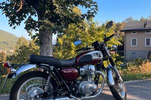 Kawasaki W800 solo per gli amanti dell’old style