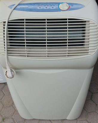 condizionatore deumidificatore