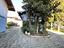 Immagine 5
