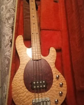 Music man Stingray 20th anniversary
