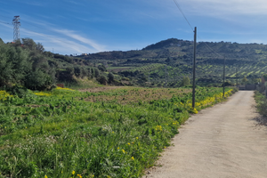 Terreno c/da cutrone