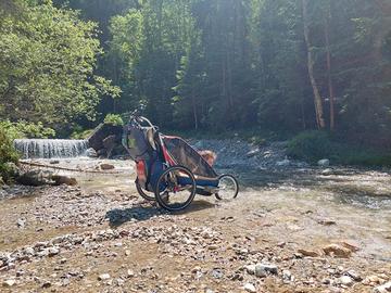 carrello bici per bambini -  thule chariote cougar