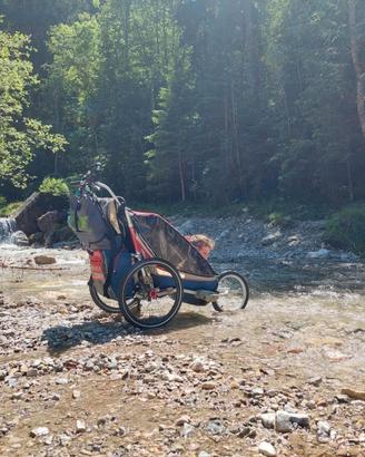 carrello bici per bambini -  thule chariote cougar