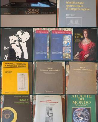libri Universitari e Saggistica