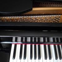 Pianoforte quarto di coda