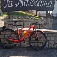 speciaized in carbonio 