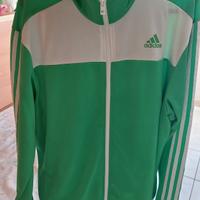 Tuta Adidas (maglia e pantalone)
