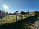 ter-agricolo-a-roma