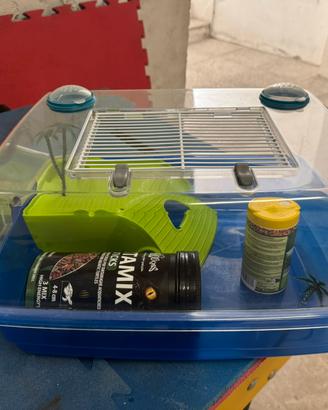 Acquario per tartarughe