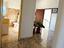Immagine 29