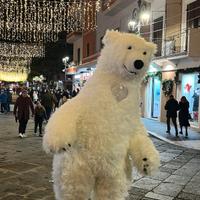mascotte 