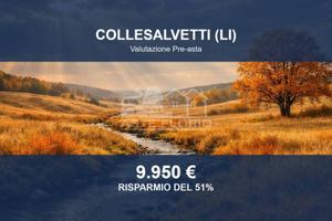 Immobile in asta di 12660 m² a Collesalvetti
