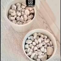 Sassi da arredamento NUOVI