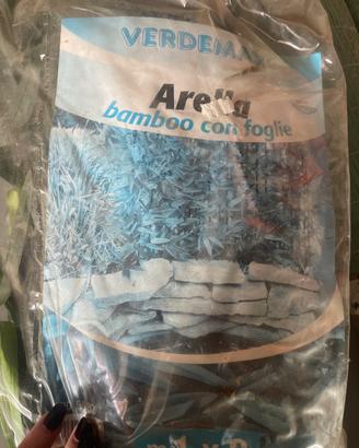 Arella bamboo con foglie