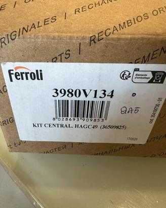Centraliana caldaia Ferroli 3980V134 - HAGC49