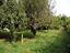 Immagine 29
