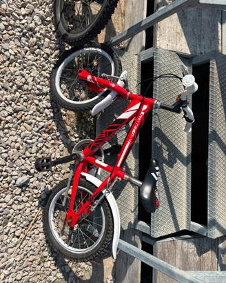Bicicletta bambino