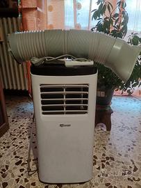 climatizzatore pinguino 