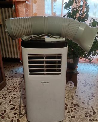 climatizzatore pinguino 