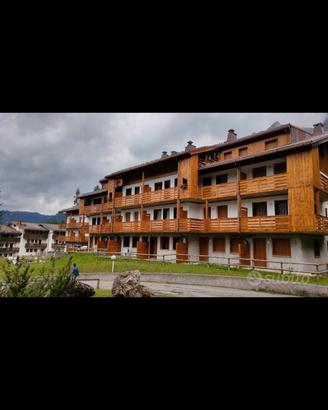 Multiproprietà selva di Cadore Santa Fosca